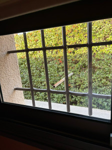 Photo de galerie - Nettoyeur de vitres