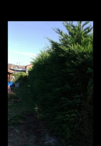 Photo de galerie - Paysagiste - Aménagement du jardin