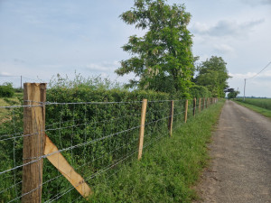 Photo de galerie - Pose du clôture barbelé et grillage à mouton sur 1km