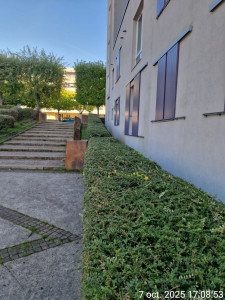 Photo de galerie - Tout opération d' espace
 vert 