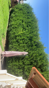 Photo de galerie - Avant 