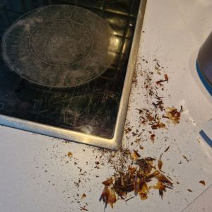 Photo de galerie - Nettoyage 