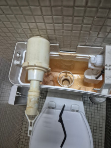 Photo de galerie - Remplacement d'un mécanisme complet de toilette