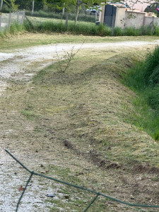 Photo de galerie - Débroussaillage 