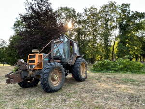 Photo de galerie - Treuillage d’arbres dangereux 