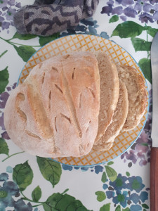 Photo de galerie - Aide à domicile