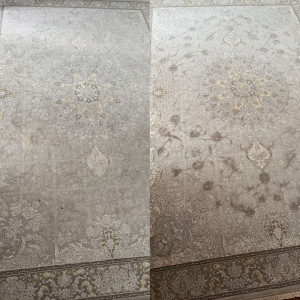 Photo de galerie - Nettoyage a sec de tapis