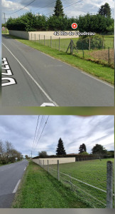 Photo de galerie - Taille de haies et d'arbustes