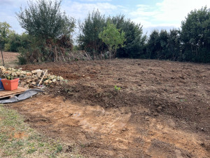 Photo de galerie - Paysagiste - Aménagement du jardin