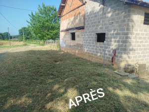 Photo de galerie - B* APRÈS Débroussaillage 