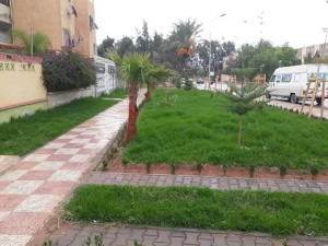 Photo de galerie - Paysagiste - Aménagement du jardin