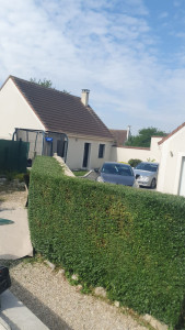 Photo de galerie - Taille de haie
