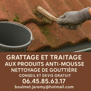 Photo de galerie - Nettoyage et grattage de toiture produits anti-mousse