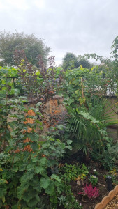 Photo de galerie - ? CHANTIER RÉALISÉ – JO PAYSAGE ?

✨ Aménagement et mise en valeur d’un jardin

Nouvelle réalisation avec un massif fleuri et végétalisé, soigneusement entretenu pour mettre en valeur le charme de ce jardin et son magnifique mur en pierre
