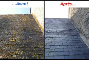 Photo de galerie - Traitement curatif sur tuile ardoise naturelle