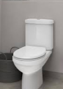 Photo de galerie - Pose toilette 