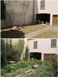 Photo de galerie - Débroussaillage + tondages 