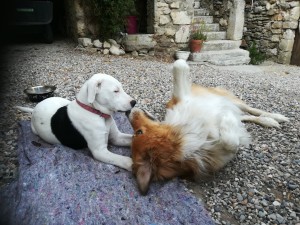 Photo de galerie - Le bisou d'un amoureux 