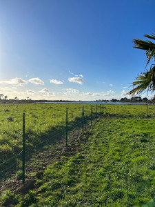Photo de galerie - Création clôture 