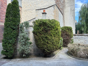 Photo de galerie - Entretien d’une cour d’immeuble 