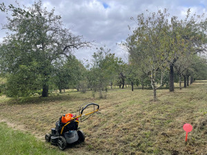Photo de galerie - Première tonte avec fonction mulching après un haut débroussaillage 