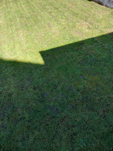 Photo de galerie - Client satisfait...