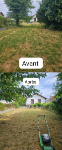 Photo de galerie - Tonte de pelouse