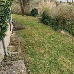 Photo de galerie - Taille de haies et d'arbustes