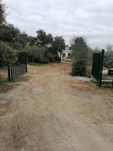 Photo de galerie - Terrassement - Assainissement