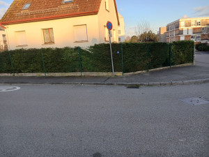 Photo de galerie - Cronenburg coupe haie 