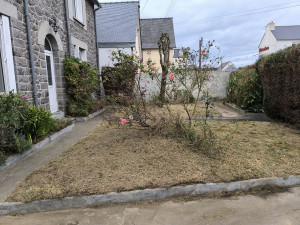 Photo de galerie - Terrain nettoyer