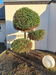 Photo de galerie - Jardinier