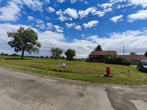 Photo de galerie - Résultat d'une de mes tonte de pelouse 