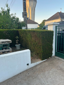 Photo de galerie - Taillage de haie en angle droit