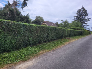 Photo de galerie - Suite