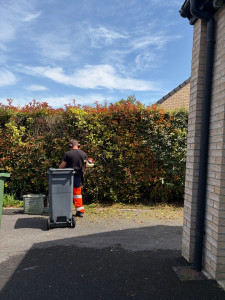 Photo de galerie - Débroussaillage mauvaise herbes 