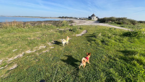 Photo de galerie - NAIGE & AIVI