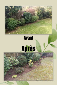 Photo de galerie - Aménagement d'un massif existant pour apporter de la couleur