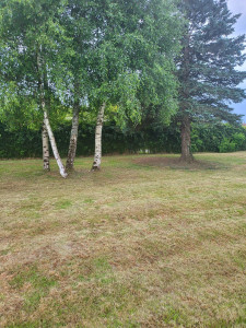 Photo de galerie - Tonte de pelouse - Débroussaillage