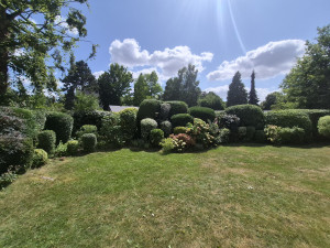 Photo de galerie - Taille