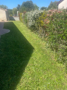 Photo de galerie - Tonte de pelouse - Débroussaillage