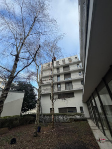 Photo de galerie - Elagage copropriété Paris 