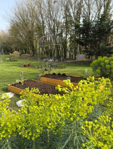 Photo de galerie - Entretien du jardin et création de potager 