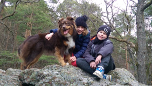 Photo de galerie - Garde chien