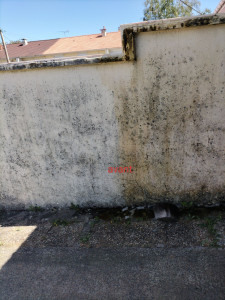 Photo de galerie - Plâtrerie - Murs - Plafonds