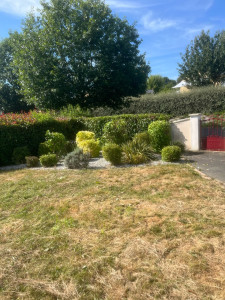 Photo de galerie - Nettoyage parterre