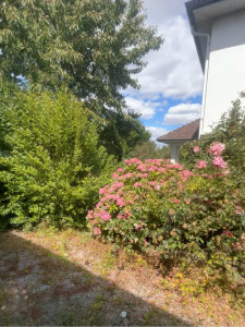Photo de galerie - Jardinier