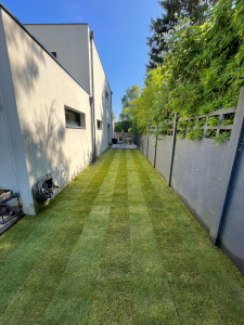 Photo de galerie - Paysagiste - Aménagement du jardin