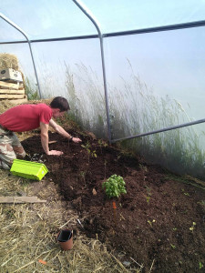 Photo de galerie - Petits travaux de jardinage 