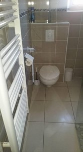 Photo de galerie - Changements WC suspendus ou WC normale. 